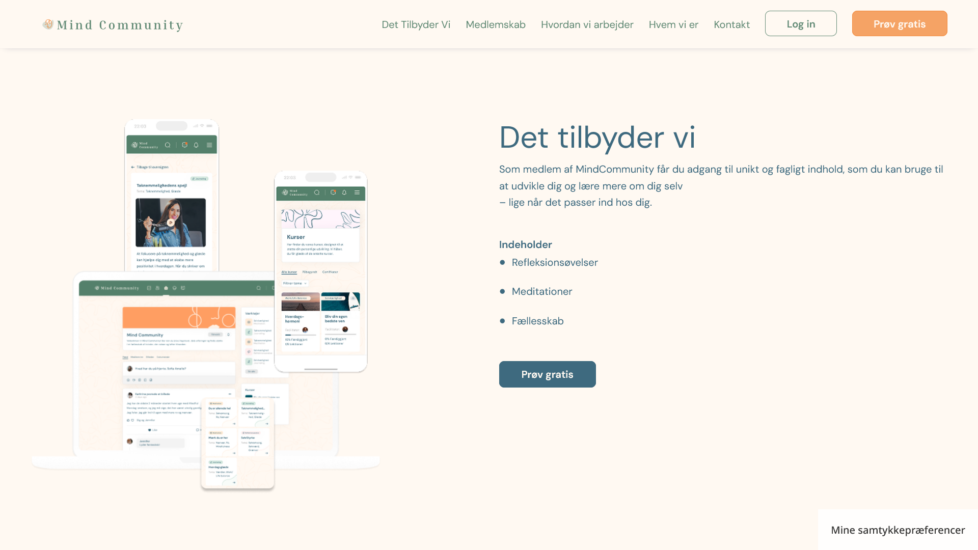 Mindcommunity stories page